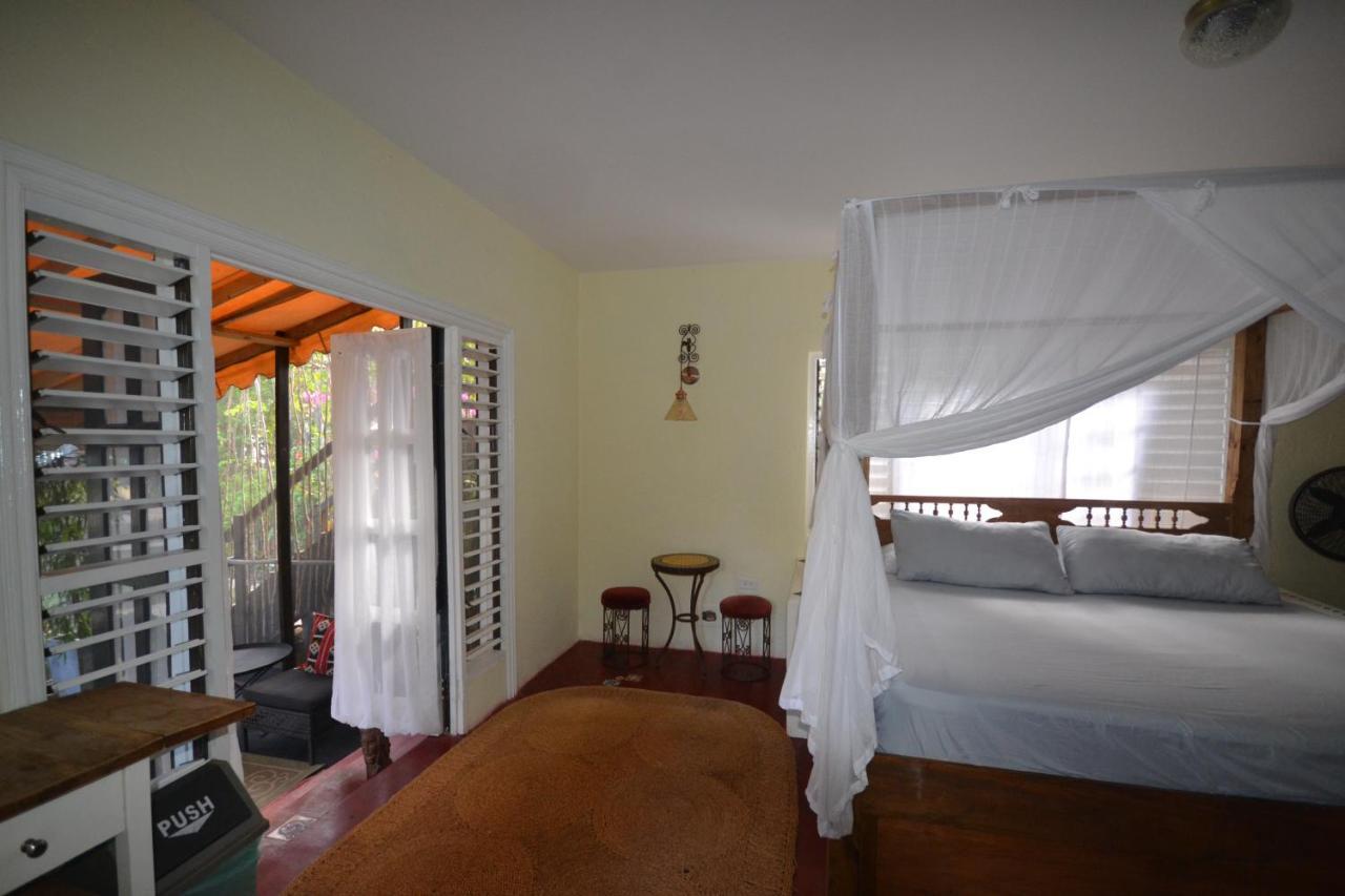 Katamah Beachfront Guesthouse トレジャー・ビーチ 部屋 写真