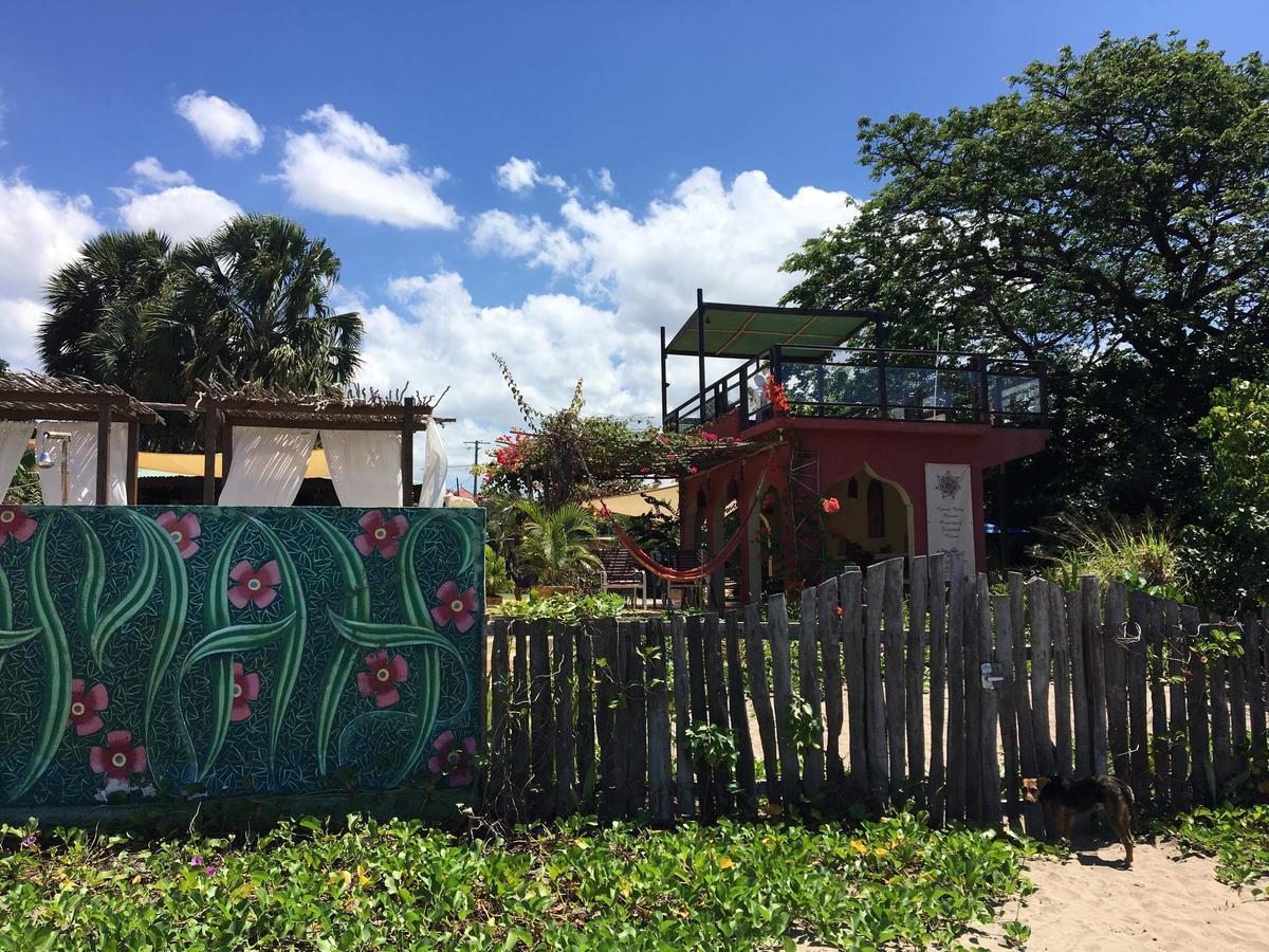 Katamah Beachfront Guesthouse トレジャー・ビーチ エクステリア 写真
