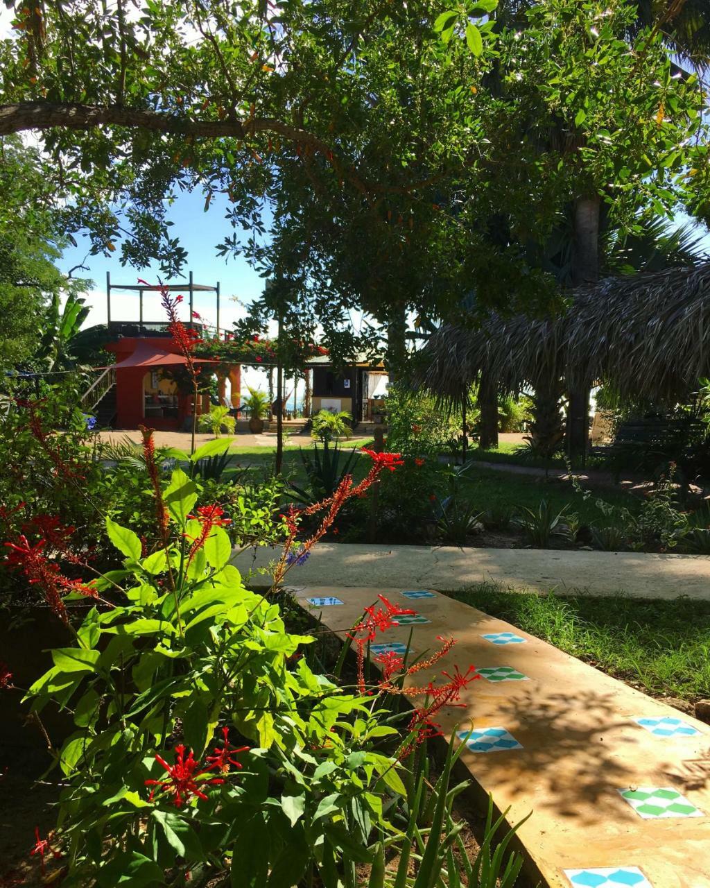Katamah Beachfront Guesthouse トレジャー・ビーチ エクステリア 写真