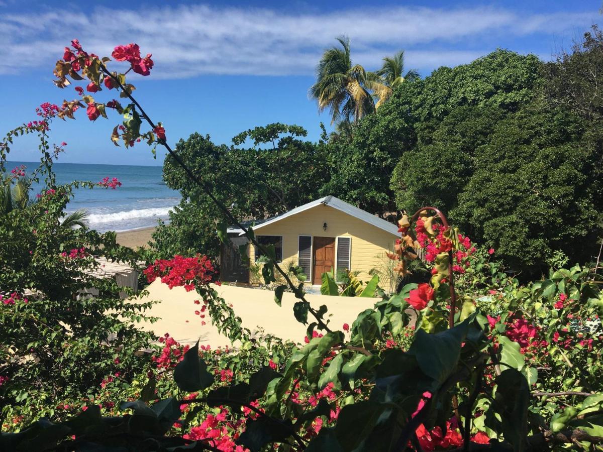 Katamah Beachfront Guesthouse トレジャー・ビーチ エクステリア 写真