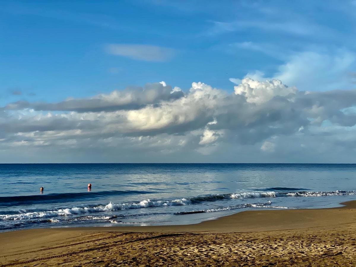 Katamah Beachfront Guesthouse トレジャー・ビーチ エクステリア 写真
